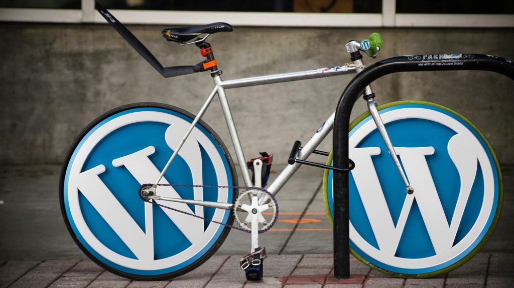 WordPress review